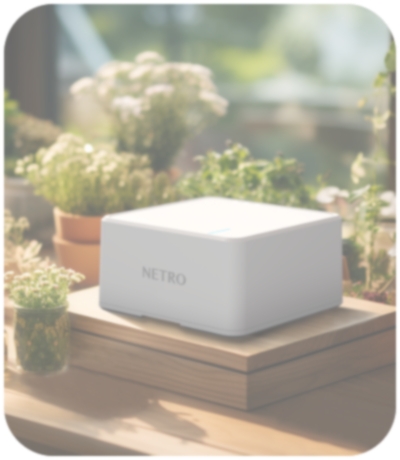 Netro Stream is Netro's first indoor watering product. Netro Stream has two water outlets in order to meet the irrigation needs of different plants. By using three-way or four-way connectors, multiple potted plants can be irrigated from each outlet.