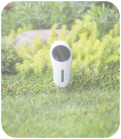 Netro Whisperer Gen2 will record the information of sunlight, temperature, and moisture level of your soil.