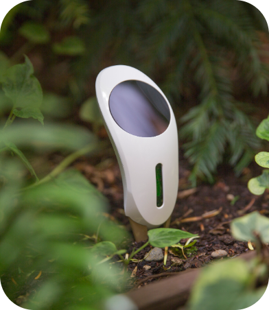 Netro Whisperer Gen2 is a wonderful Solar-powered Plant Sensor.