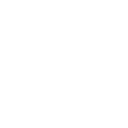 The luminous flux of the light: 1200 lumens.